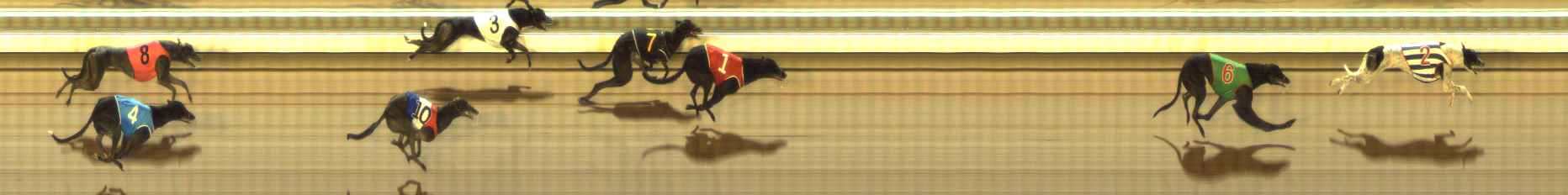 Photo finish for The Meadows Race 12