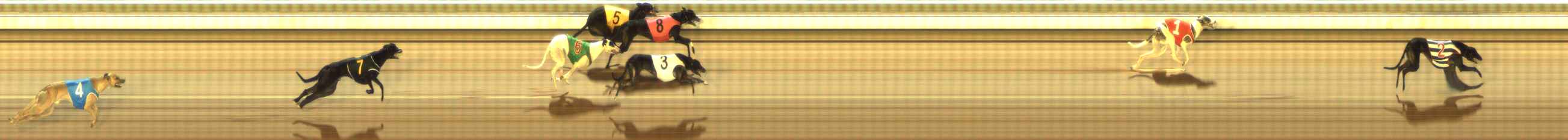 Photo finish for The Meadows Race 1