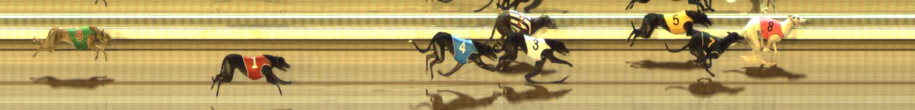 Photo finish for The Meadows Race 2