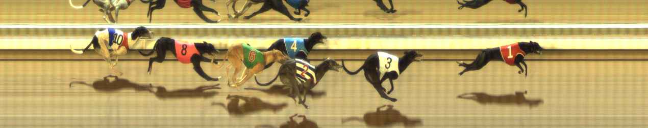 Photo finish for The Meadows Race 3
