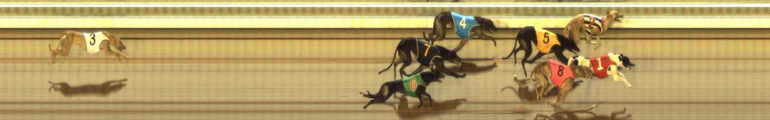 Photo finish for The Meadows Race 4
