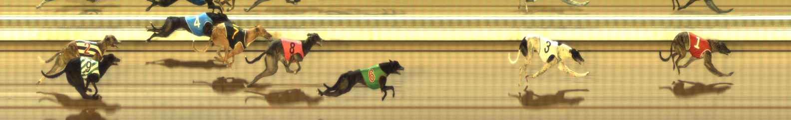 Photo finish for The Meadows Race 5