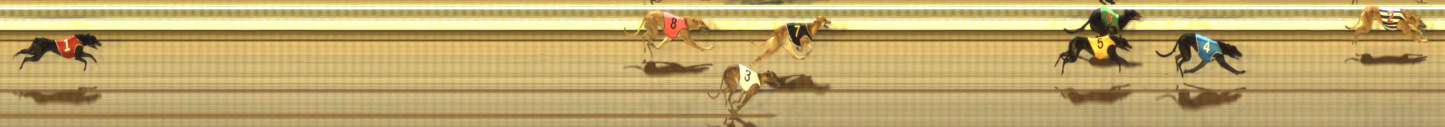 Photo finish for The Meadows Race 8