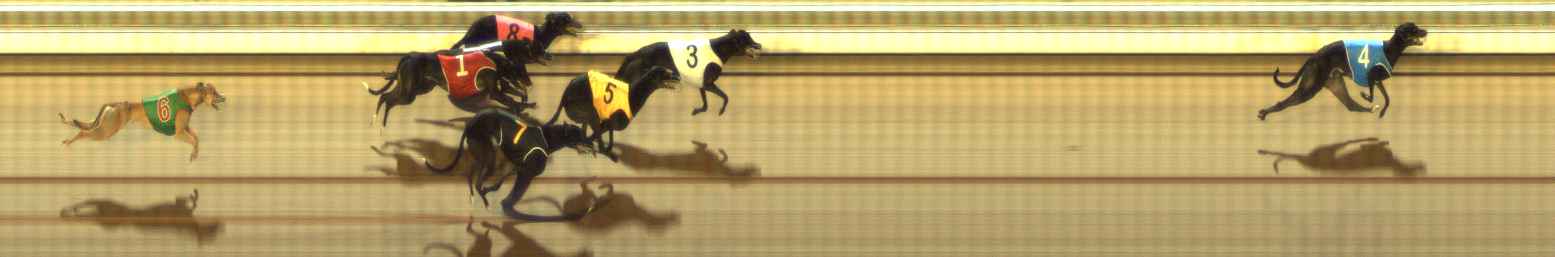 Photo finish for The Meadows Race 9