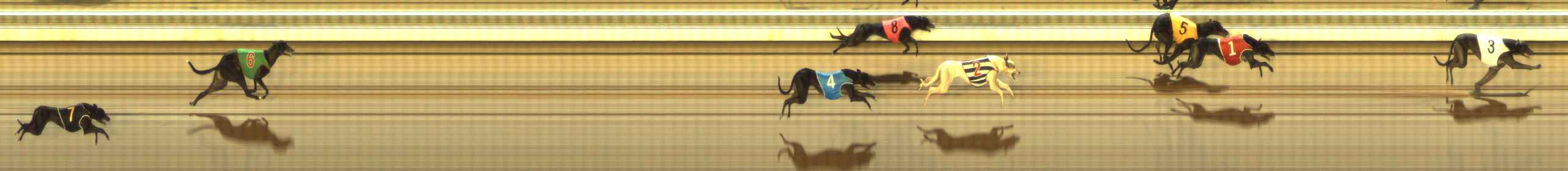 Photo finish for The Meadows Race 10