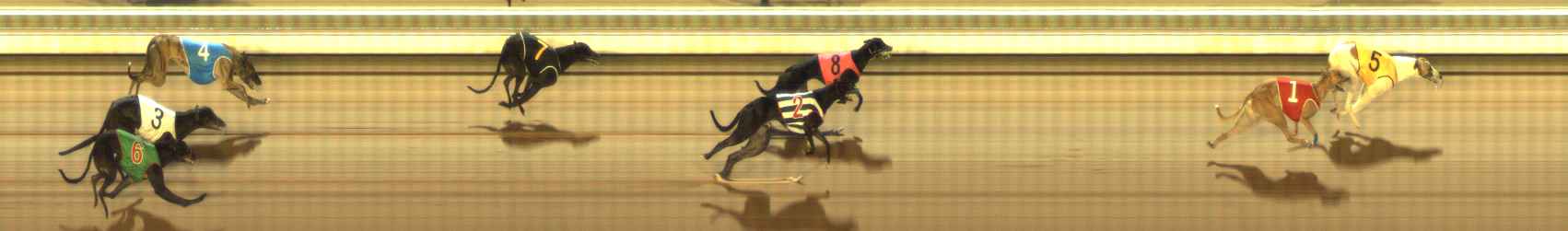 Photo finish for The Meadows Race 1