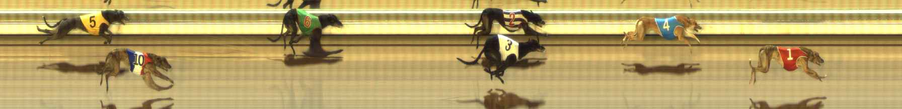 Photo finish for The Meadows Race 2