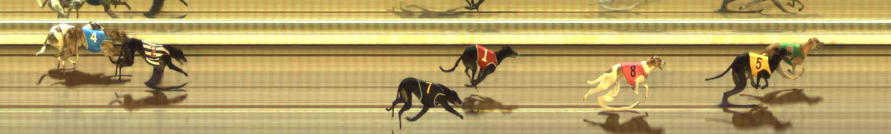 Photo finish for The Meadows Race 3