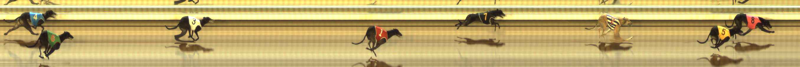 Photo finish for The Meadows Race 4