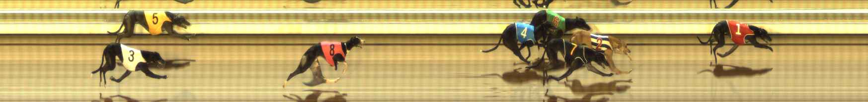 Photo finish for The Meadows Race 5
