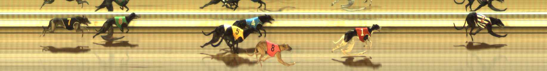Photo finish for The Meadows Race 6