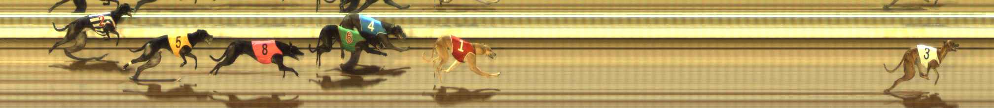 Photo finish for The Meadows Race 7