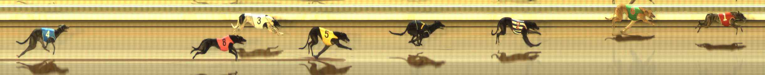 Photo finish for The Meadows Race 8