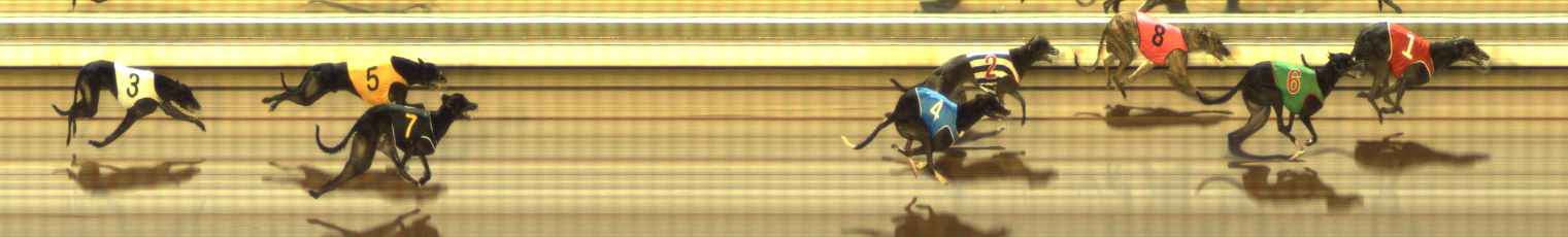 Photo finish for The Meadows Race 9