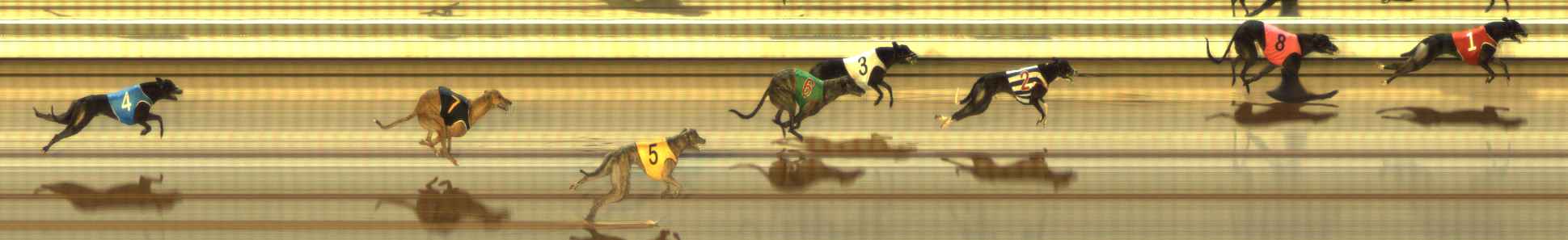 Photo finish for The Meadows Race 10
