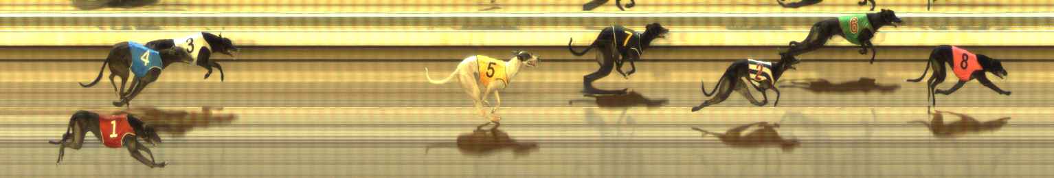 Photo finish for The Meadows Race 11
