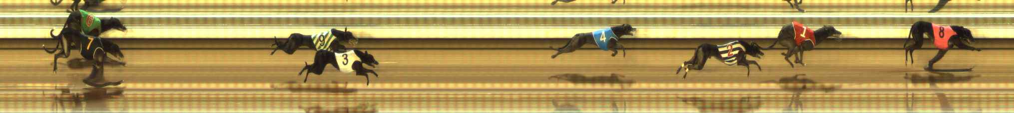 Photo finish for The Meadows Race 12