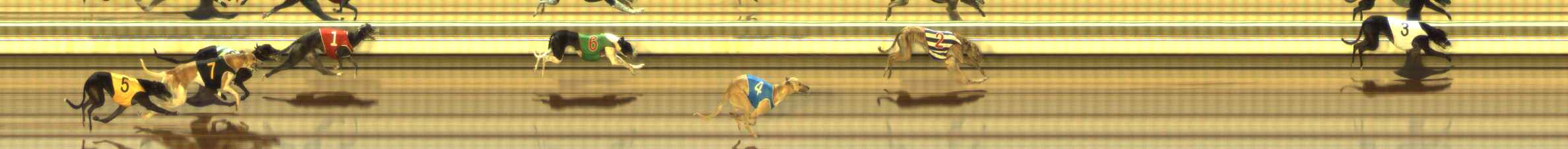 Photo finish for The Meadows Race 1