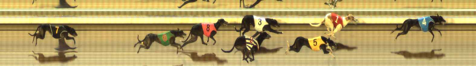 Photo finish for The Meadows Race 3