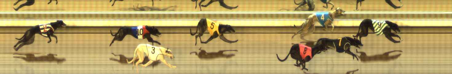 Photo finish for The Meadows Race 4
