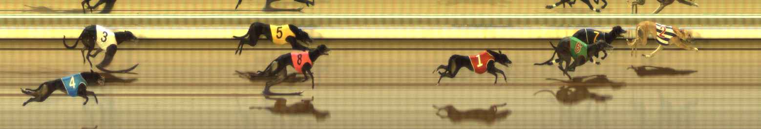 Photo finish for The Meadows Race 6