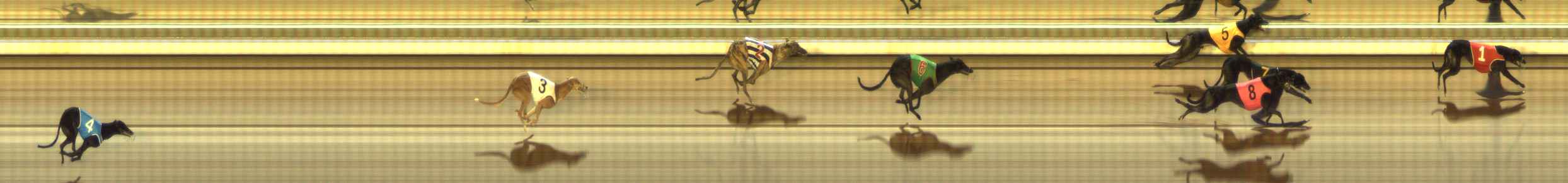 Photo finish for The Meadows Race 7