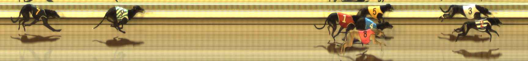 Photo finish for The Meadows Race 8
