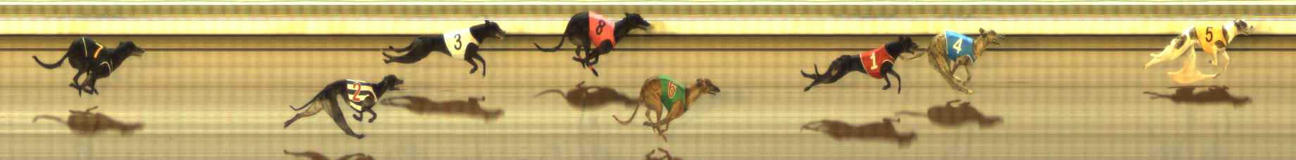 Photo finish for The Meadows Race 9