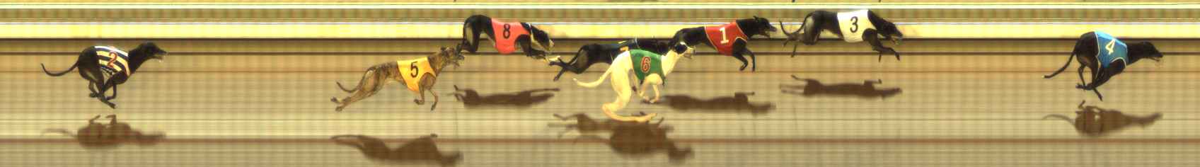 Photo finish for The Meadows Race 10