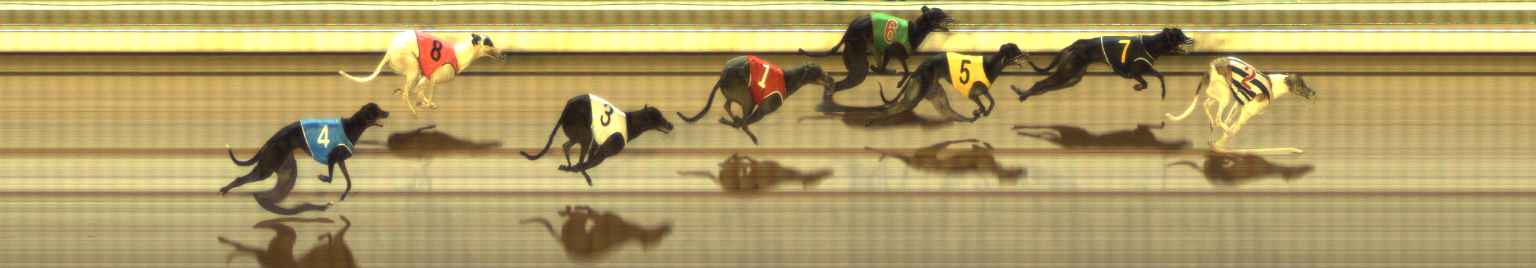 Photo finish for The Meadows Race 11