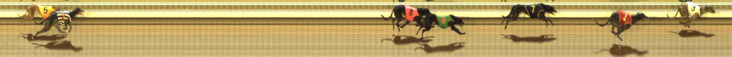 Photo finish for The Meadows Race 12