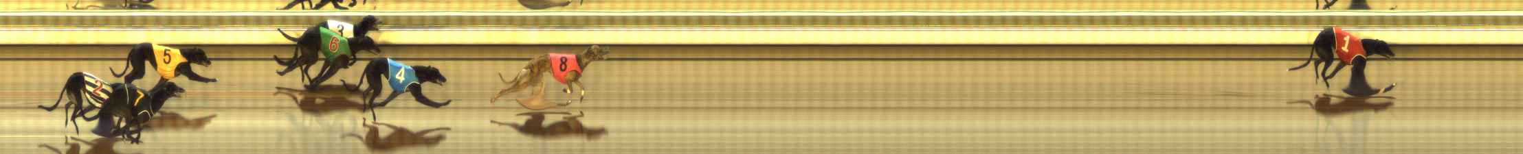 Photo finish for The Meadows Race 5