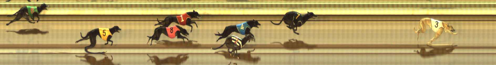 Photo finish for The Meadows Race 2