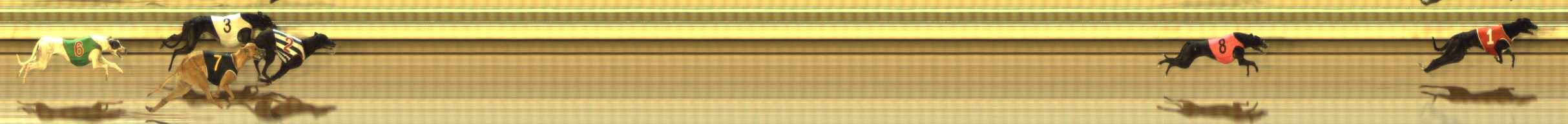Photo finish for The Meadows Race 3