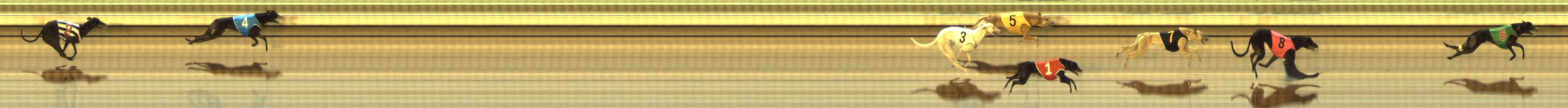 Photo finish for The Meadows Race 4