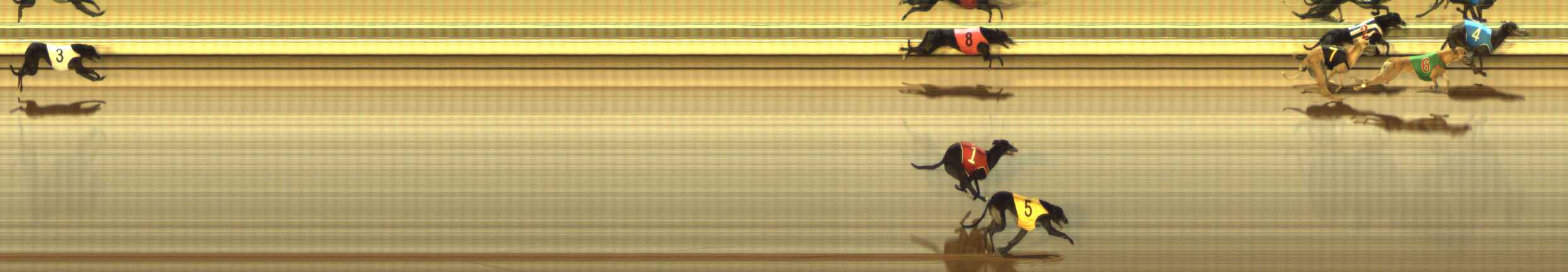 Photo finish for The Meadows Race 5