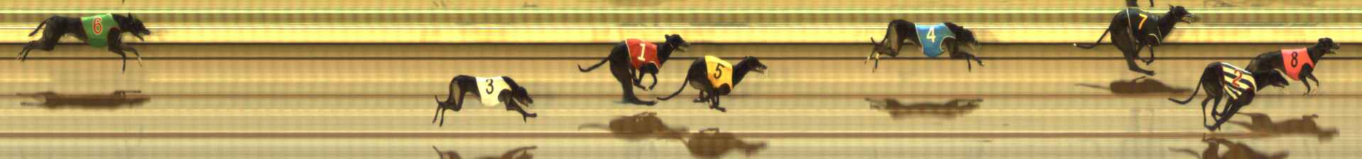 Photo finish for The Meadows Race 6