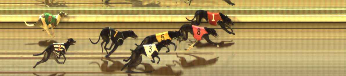 Photo finish for The Meadows Race 7