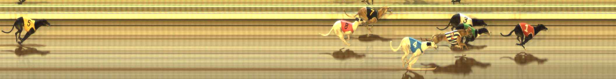 Photo finish for The Meadows Race 9