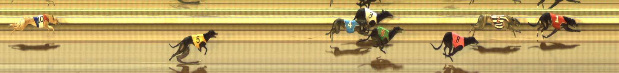 Photo finish for The Meadows Race 10