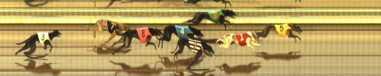 Photo finish for The Meadows Race 11