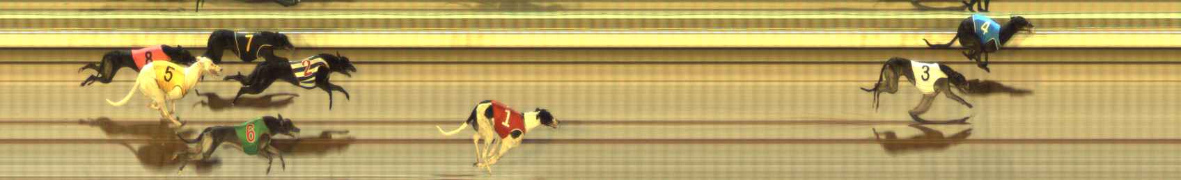 Photo finish for The Meadows Race 12