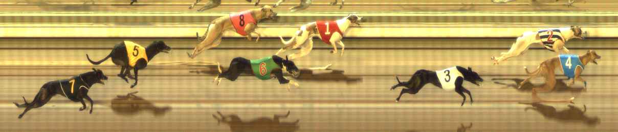 Photo finish for The Meadows Race 1