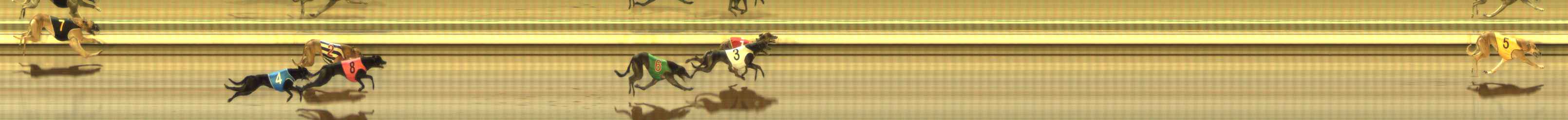 Photo finish for The Meadows Race 2