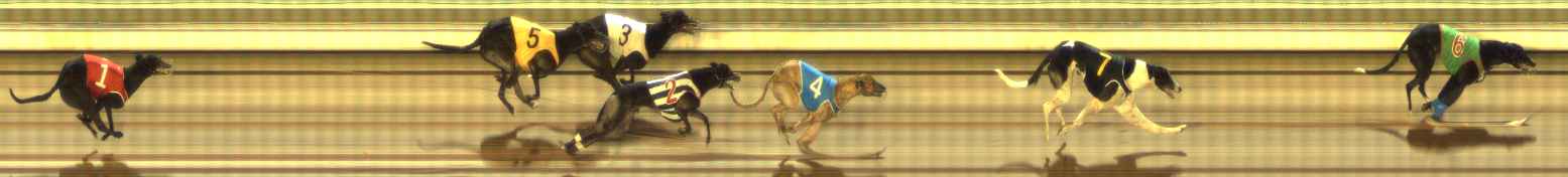 Photo finish for The Meadows Race 3
