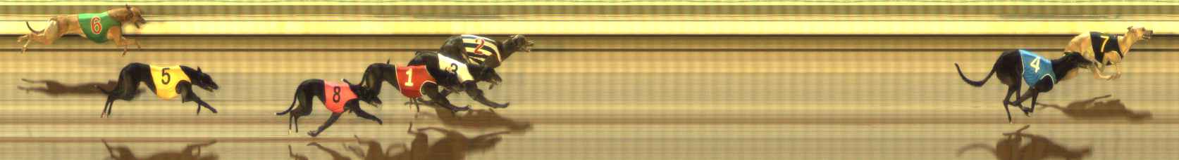Photo finish for The Meadows Race 4