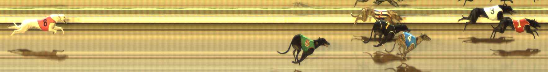 Photo finish for The Meadows Race 5