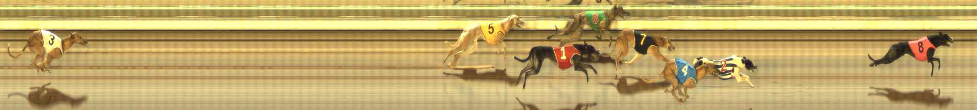 Photo finish for The Meadows Race 6