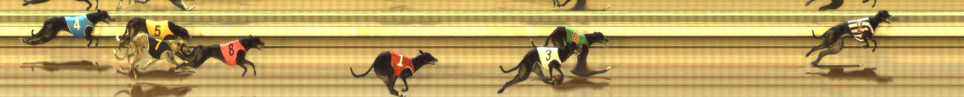 Photo finish for The Meadows Race 7