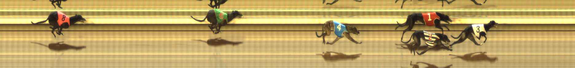 Photo finish for The Meadows Race 8